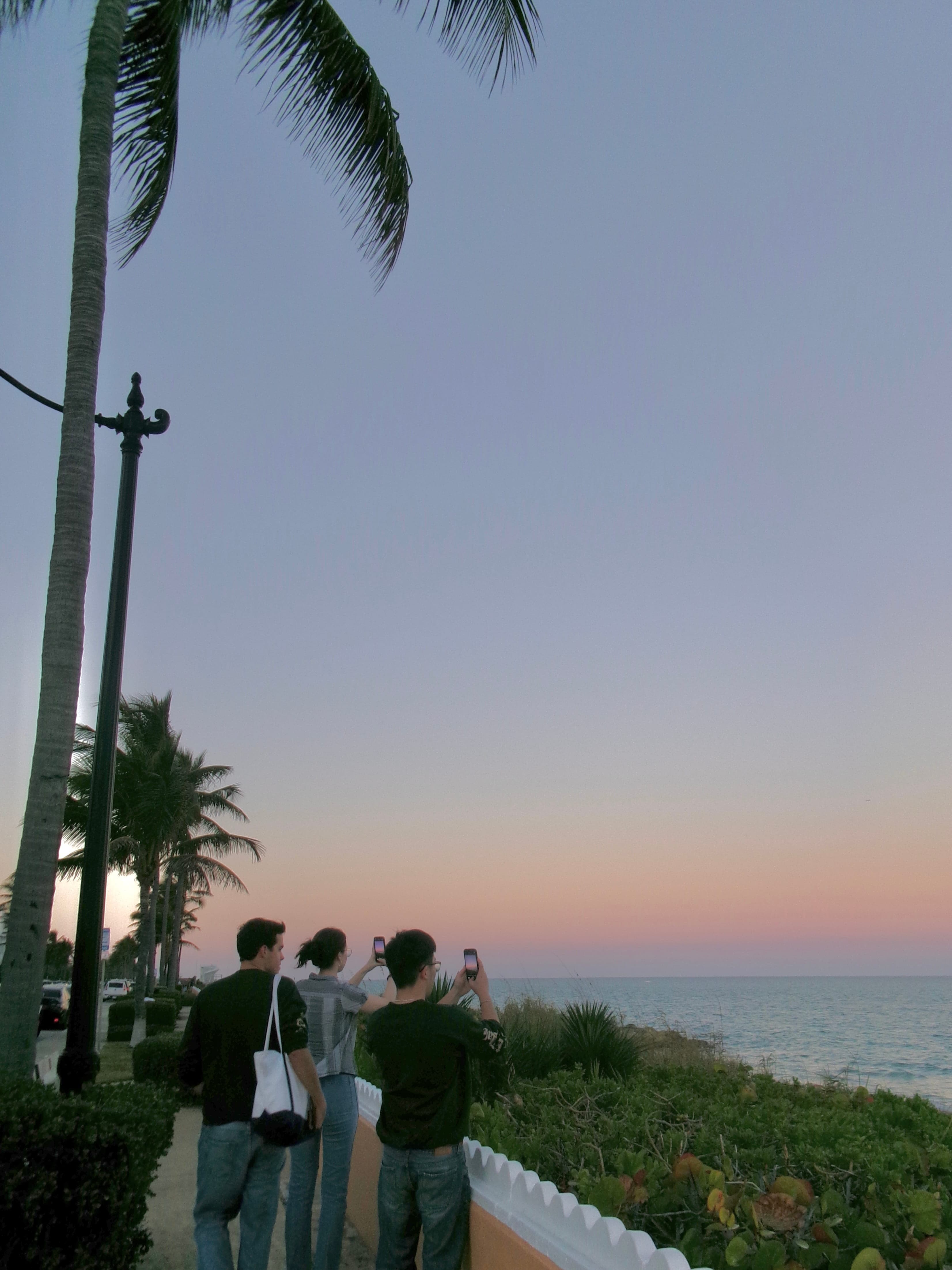 Florida memory 3