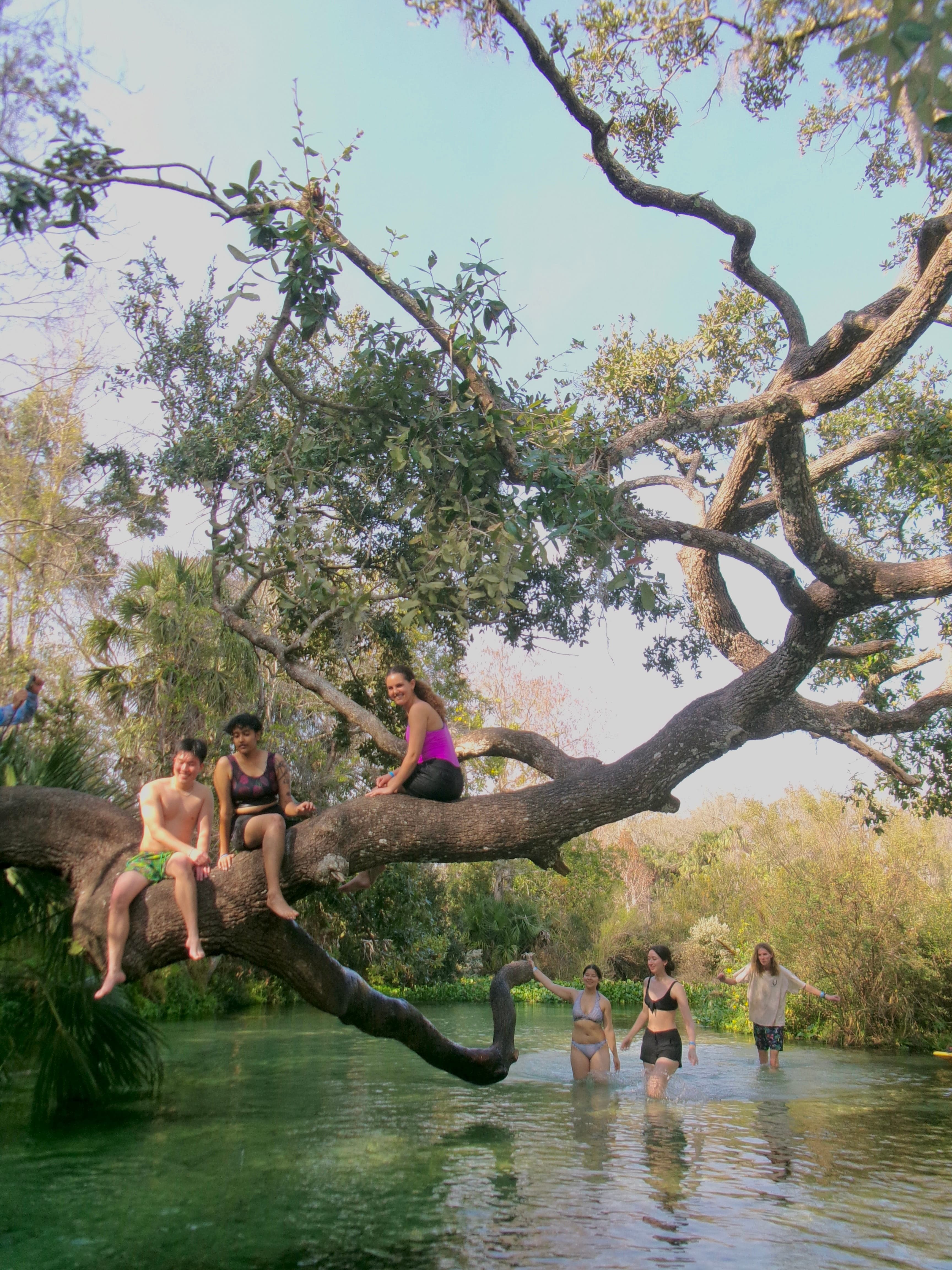 Florida memory 6