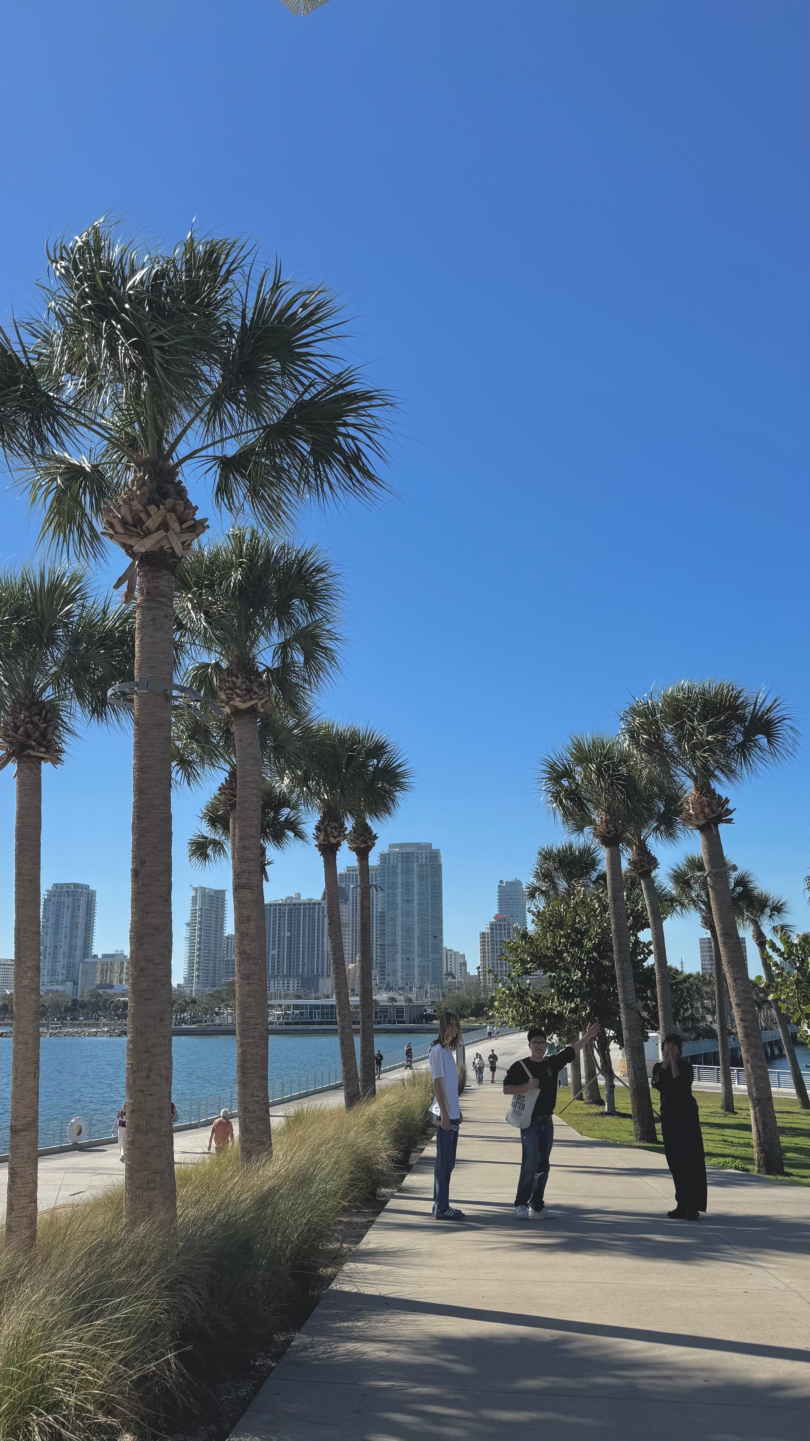 Florida memory 7