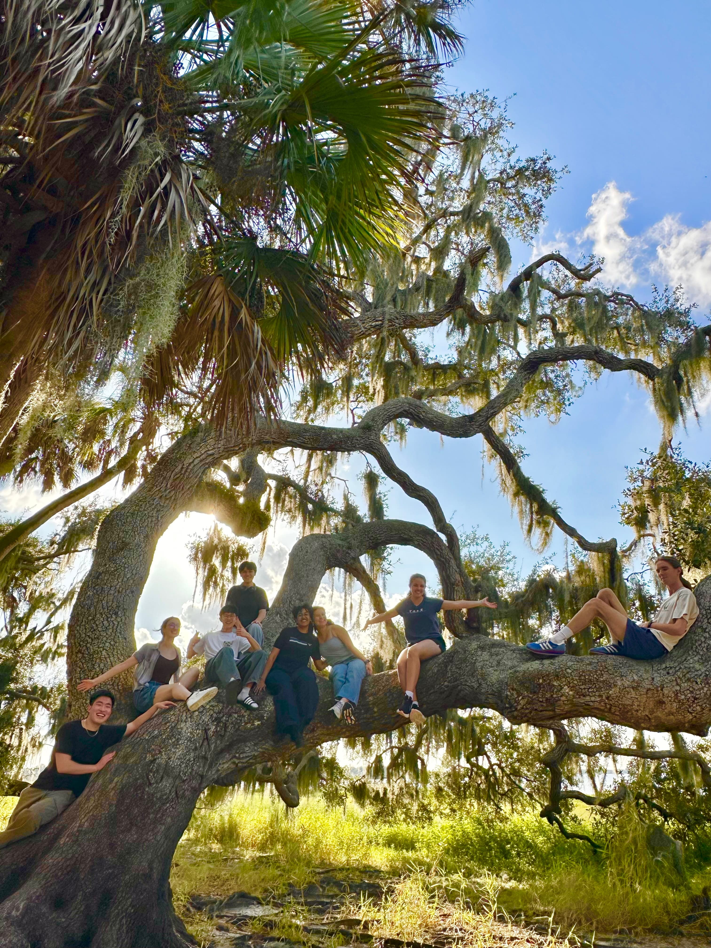 Florida memory 8