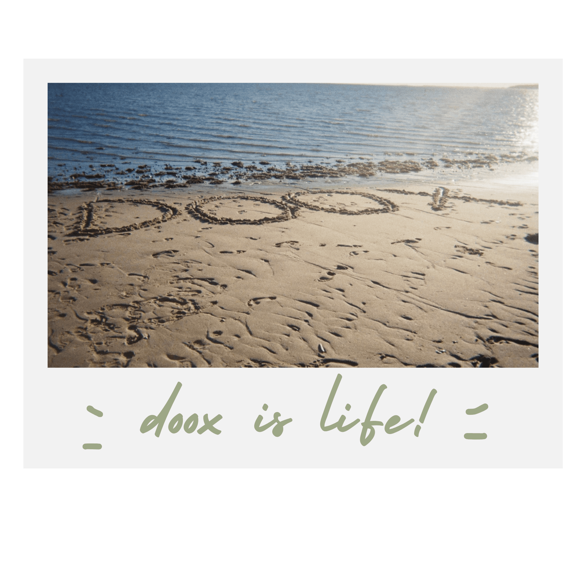 Beach tour polaroid